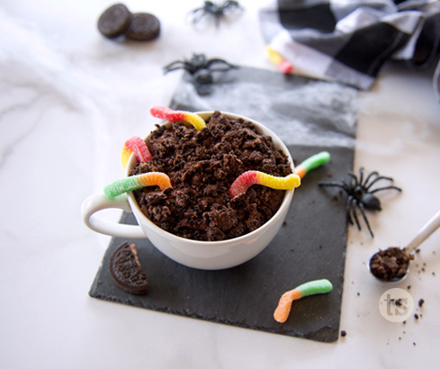 Worms & Dirt Mug Cake